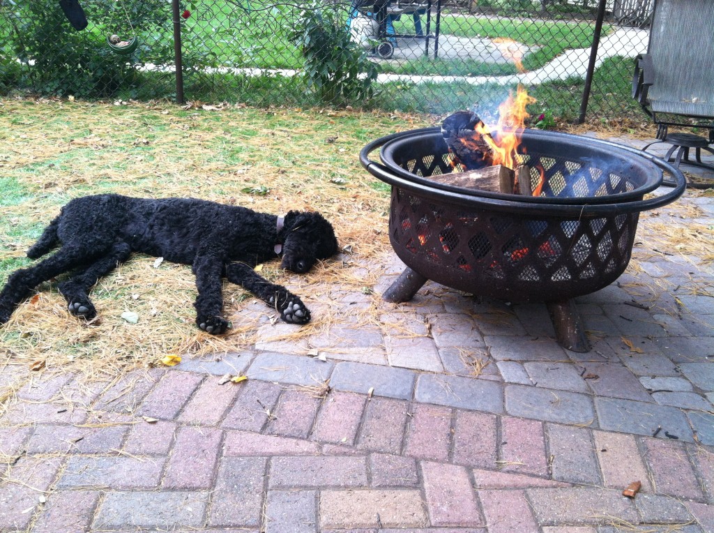 Napping by the fire