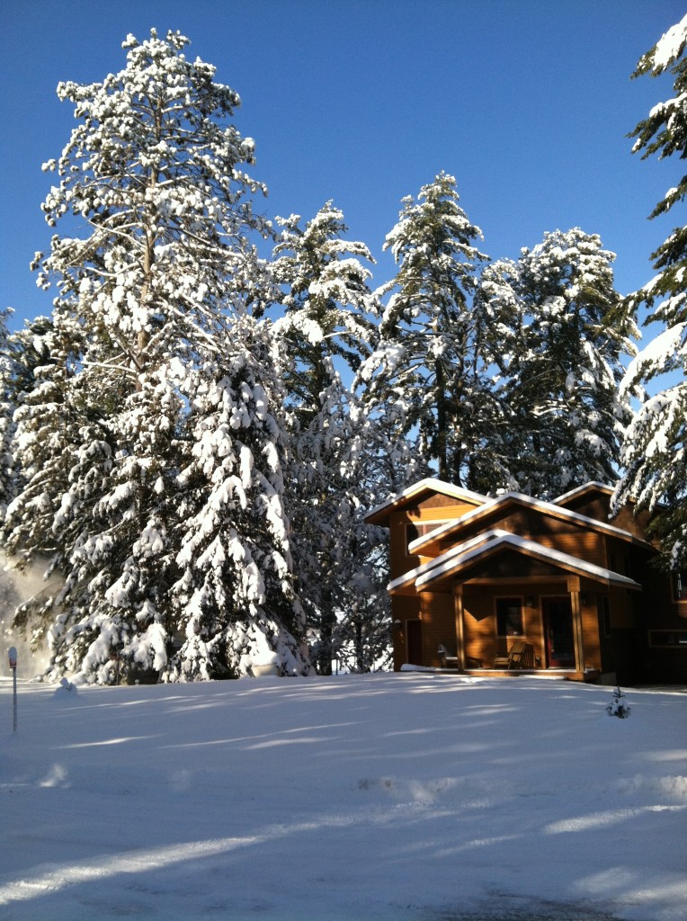 Gorgeous tall pines! Kris and David's cabin - Chief Lake, Wisconsin December 7, 2013
